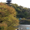 夕方