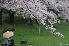 雨宿り