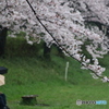 雨宿り