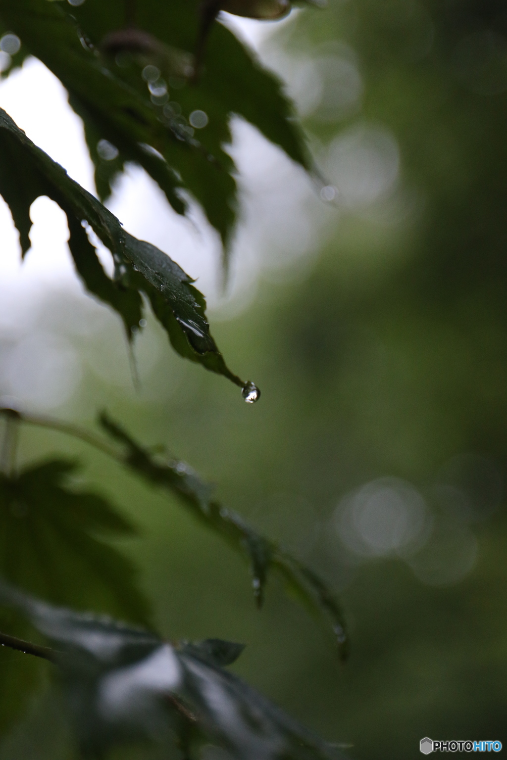 水滴