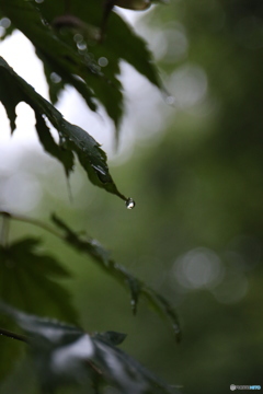 水滴