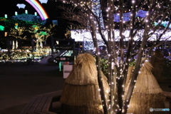 寄り添って