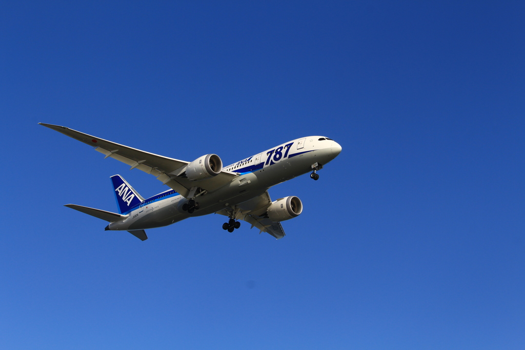 B787
