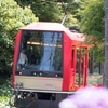 あじさい電車２