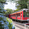 あじさい電車１