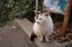あ゛ぁ？