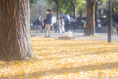 上野恩賜公園 Ⅲ