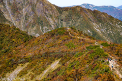 谷川岳Ⅳ
