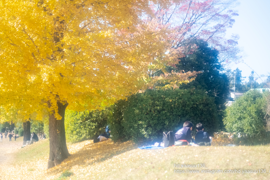 20221119-DSCF0816