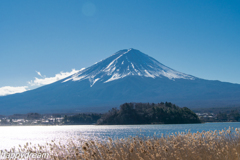 富士山 in河口湖