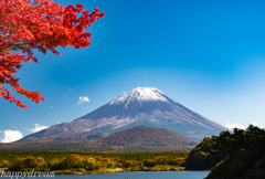 紅葉季節の富士山 Ⅰ