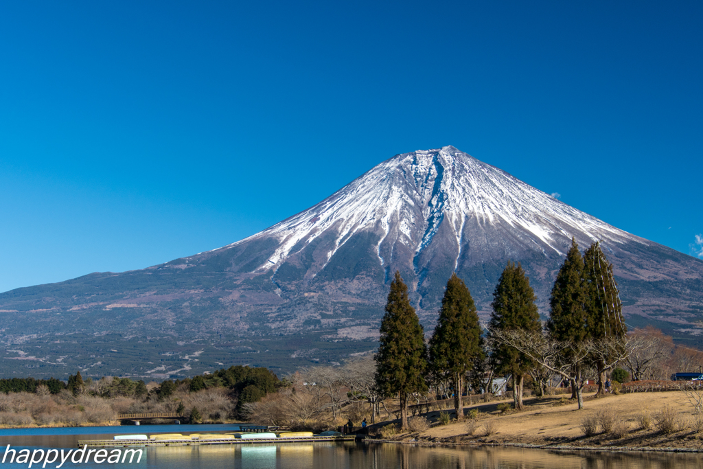 富士山 in田貫湖