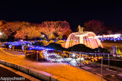 国営昭和記念公園 Winter Vista Illumination （7）