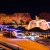 国営昭和記念公園 Winter Vista Illumination （7）