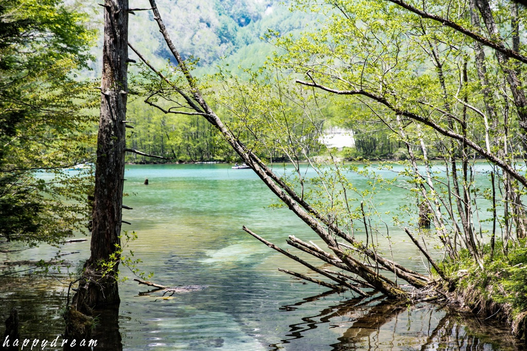 上高地へ（16）