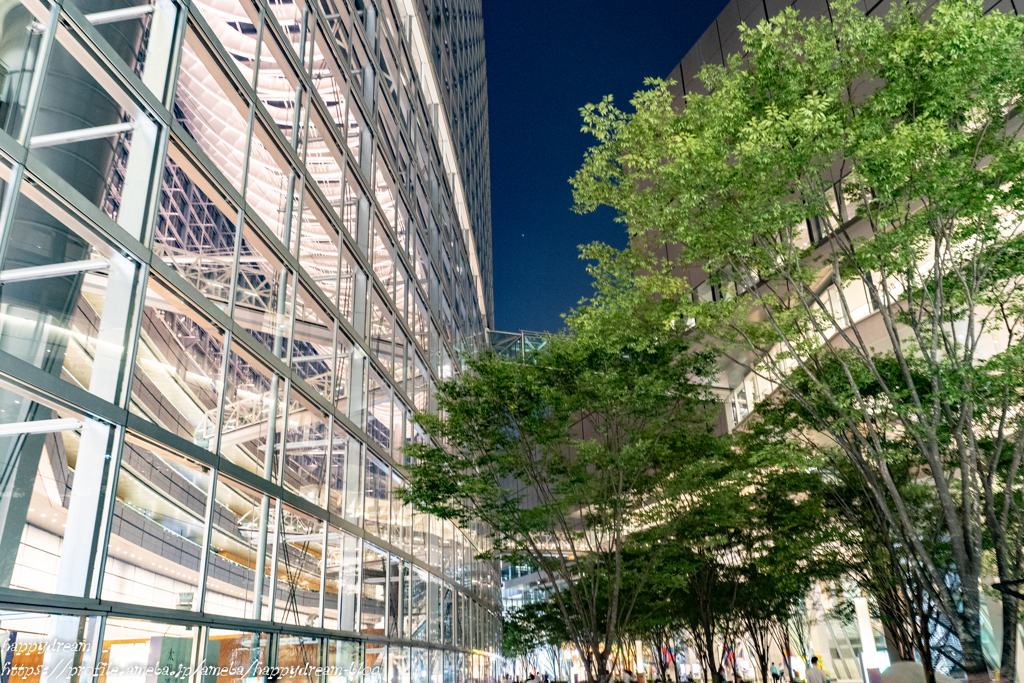 Tokyo International Forum（7）