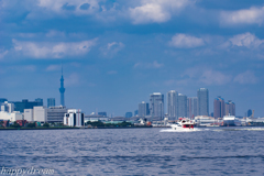 城南島海浜公園（1）