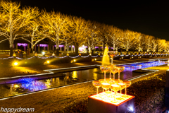 国営昭和記念公園 Winter Vista Illumination （5）