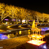 国営昭和記念公園 Winter Vista Illumination （5）