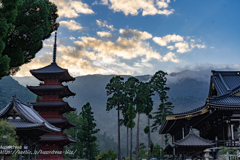 身延山久遠寺（2）