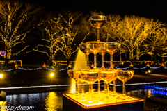 国営昭和記念公園 Winter Vista Illumination （4）