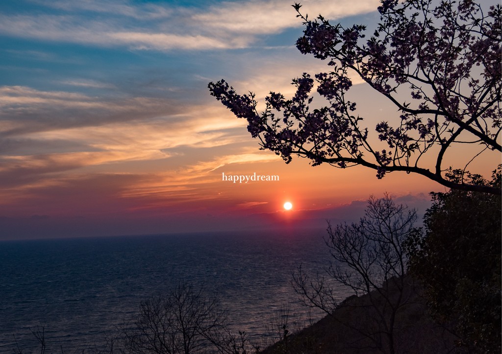 夕陽1