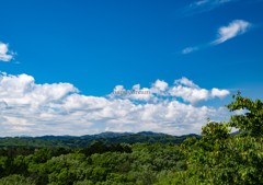 PENTAX K-1で初撮影（1）