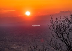 夕陽3
