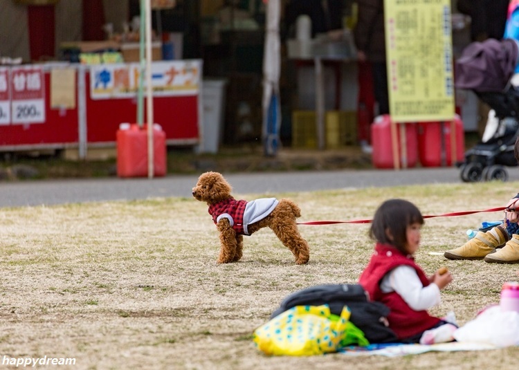 小金井公園（8）