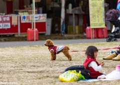 小金井公園（8）