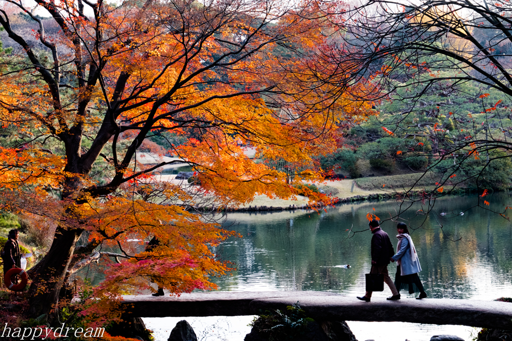 六義園から