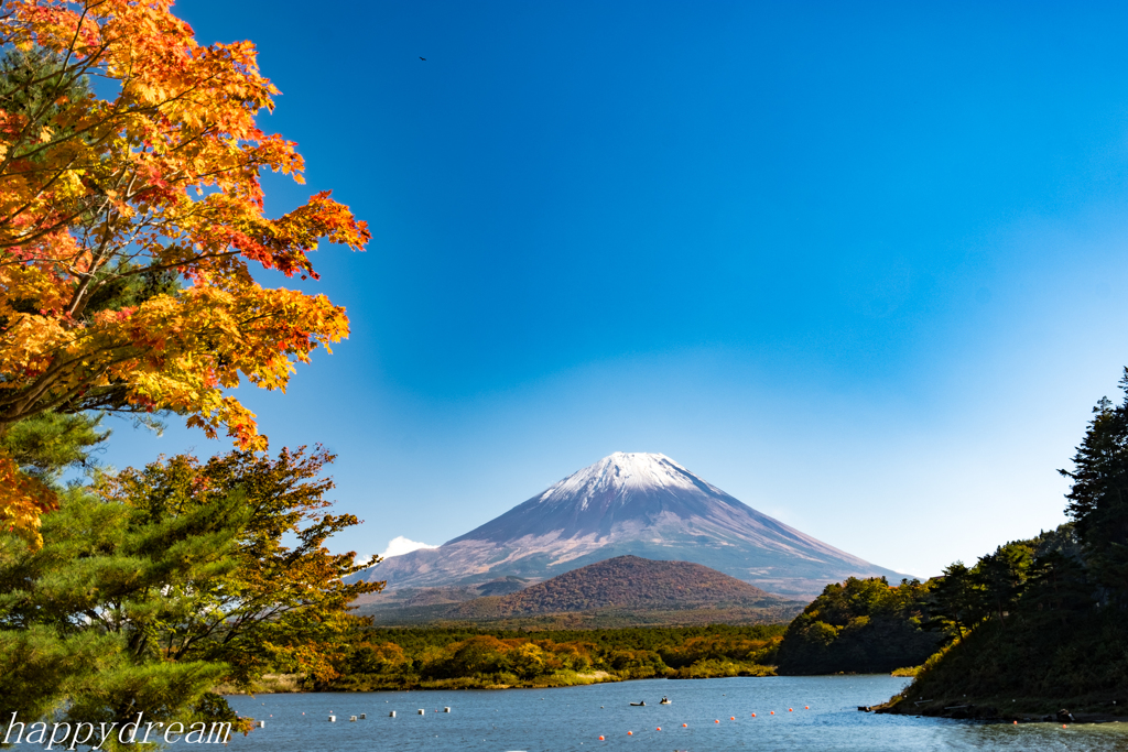 紅葉季節の富士山 Ⅱ