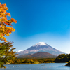 紅葉季節の富士山 Ⅱ