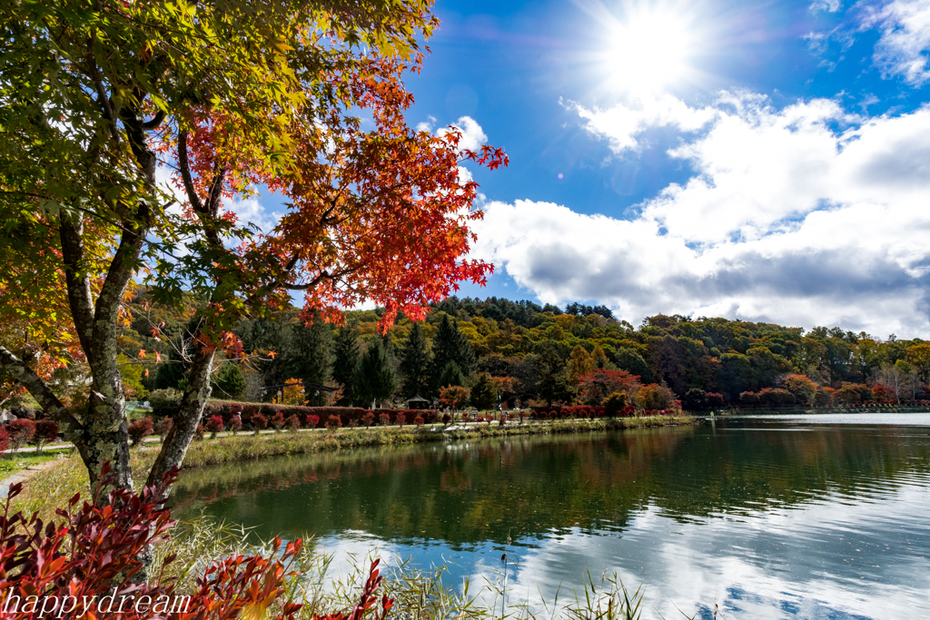 紅葉2016　in蓼科湖Ⅰ