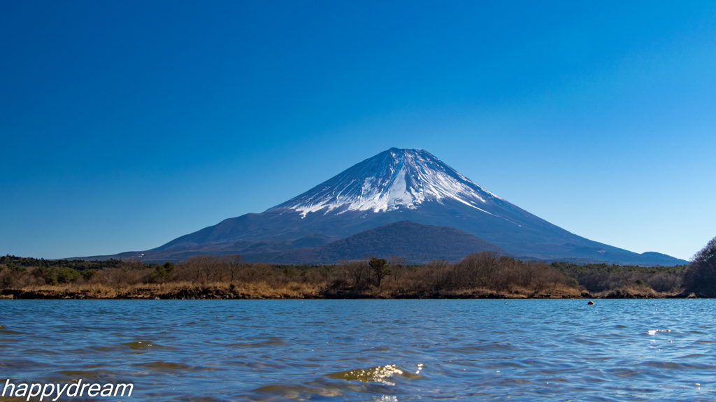 富士山 in精進湖