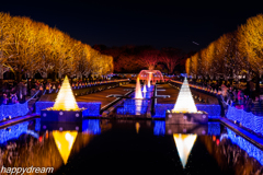 国営昭和記念公園 Winter Vista Illumination （1）