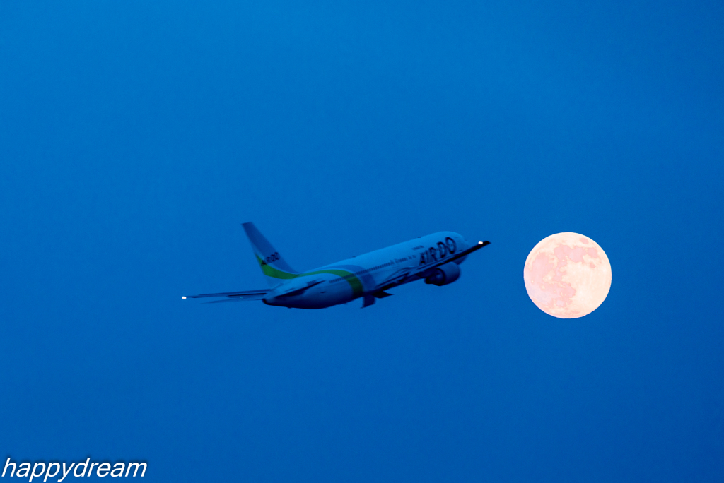 飛行機を追う（1）
