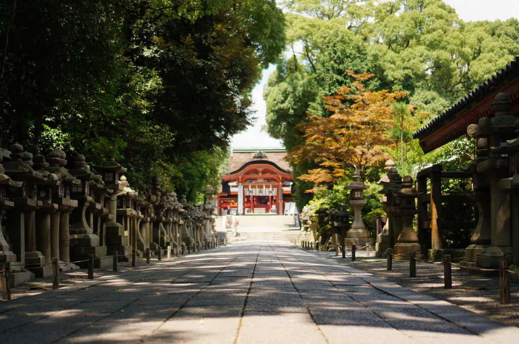 石清水八幡宮 壱