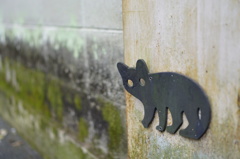 影猫 on ブロック塀
