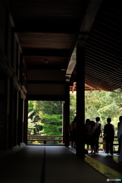 廊下の向こうに広がる庭園(天龍寺)