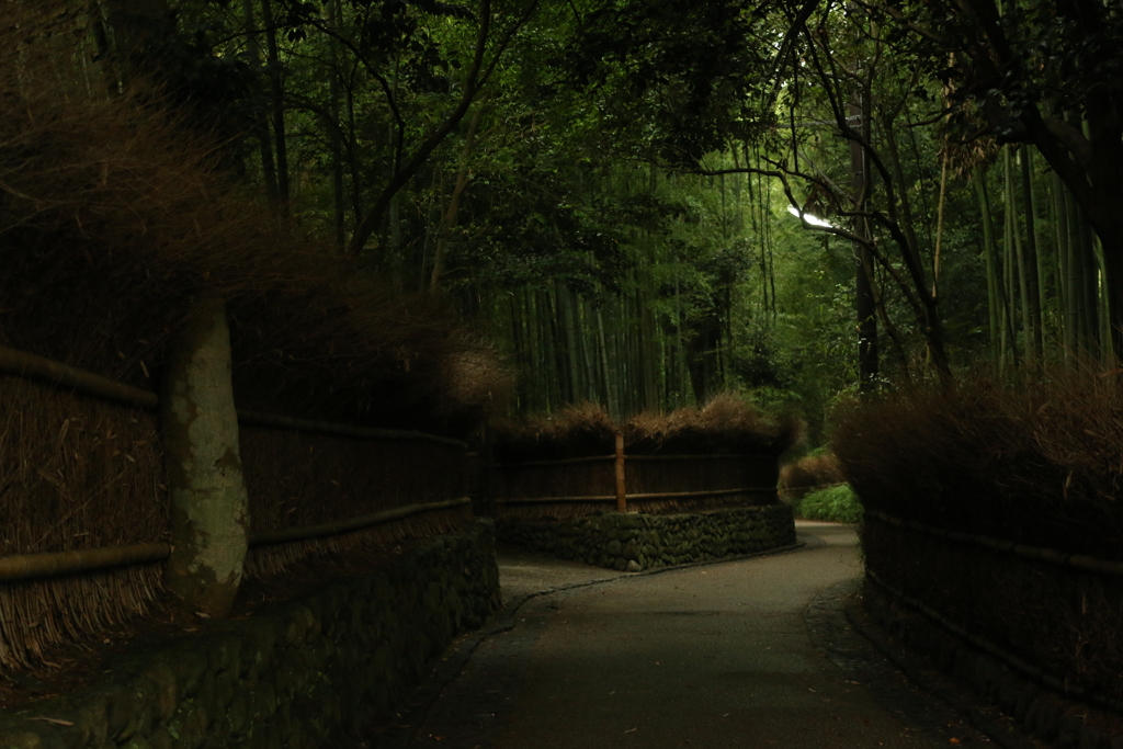 京の朝