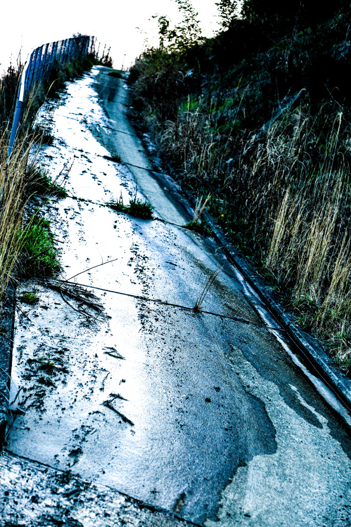 雨跡