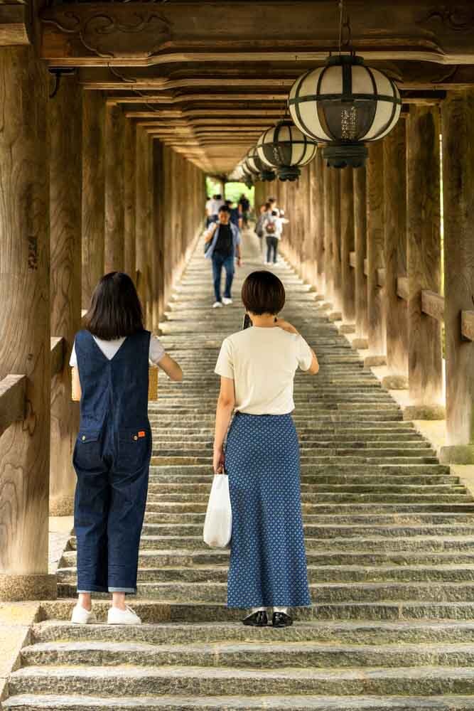 思わず撮る人と撮る人