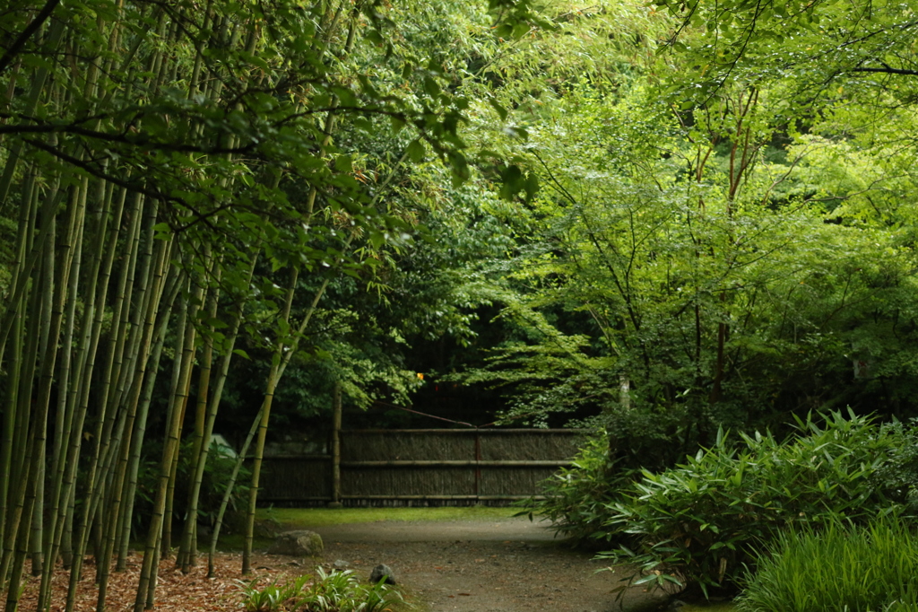 京の朝