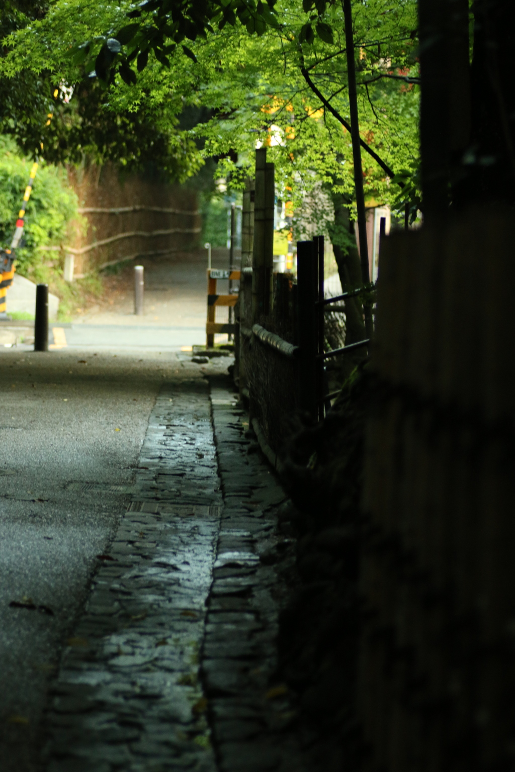 嵯峨野の朝