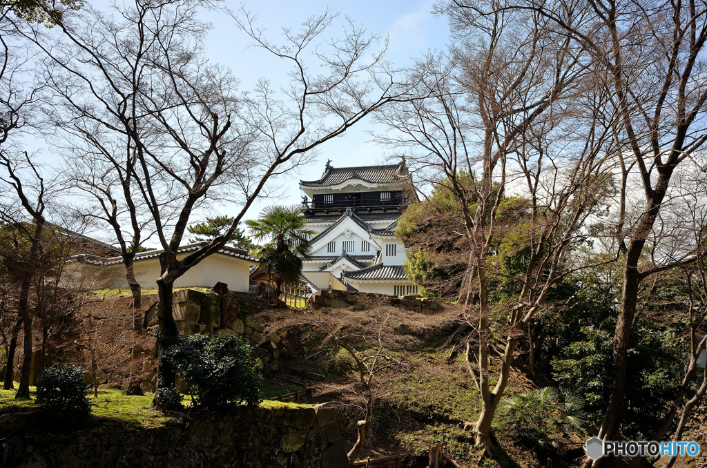 岡崎城 22.3.20