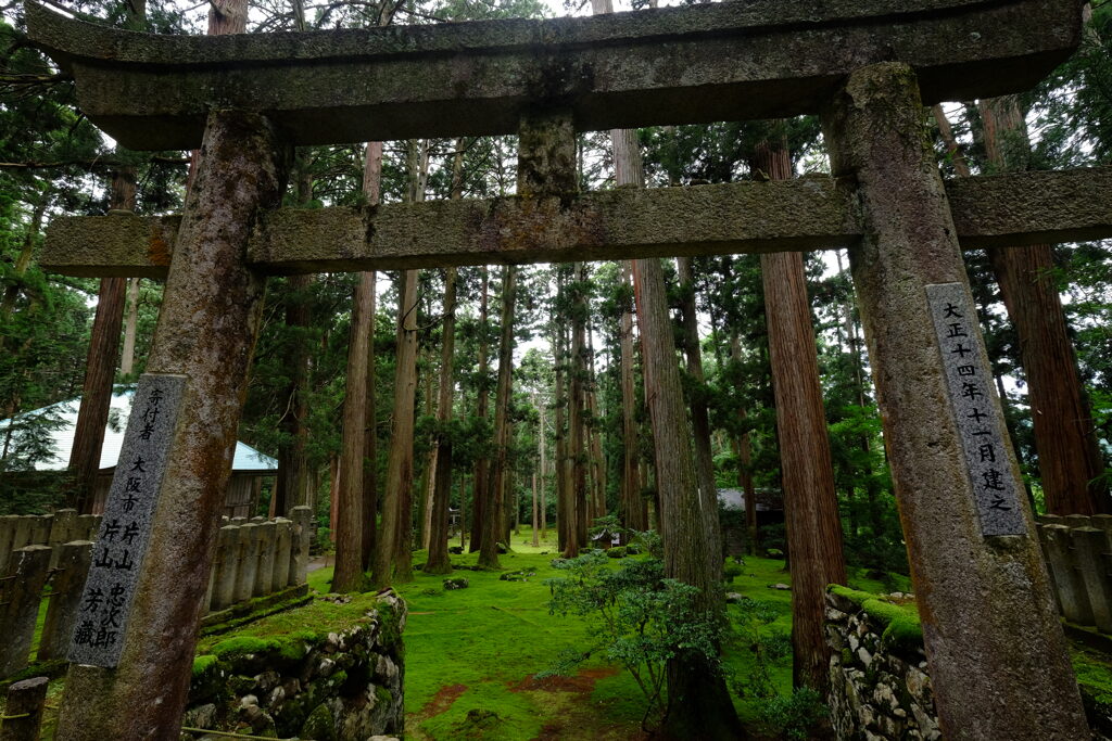 苔むす境内1