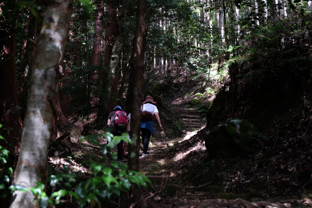 熊野古道