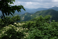 登山道より峠道路を望む