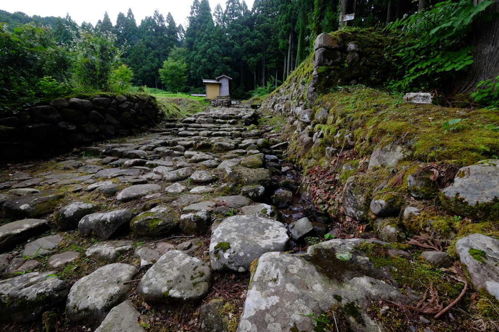 古社の古道